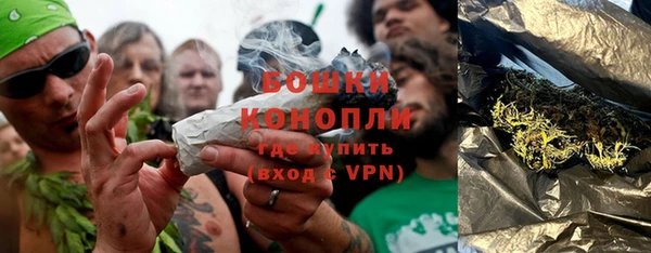 крисы Строитель