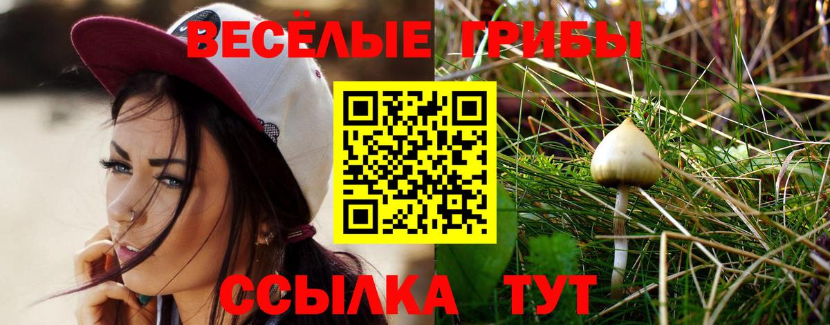 Галлюциногенные грибы MAGIC MUSHROOMS Верхний Уфалей